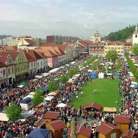 Apartmán Se Zahrádkou V Krásné čtvrti Berouna Beroun (Central Bohemian)